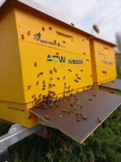 Honigbienen-Beuten