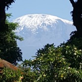 Blick auf den Kilimanjaro
